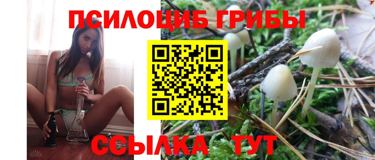 Салават  где продают наркотики  Вход с VPN  Псилоцибиновые грибы ЛСД 
